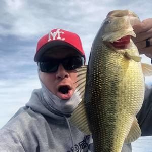 Meet your Posher, Phillip